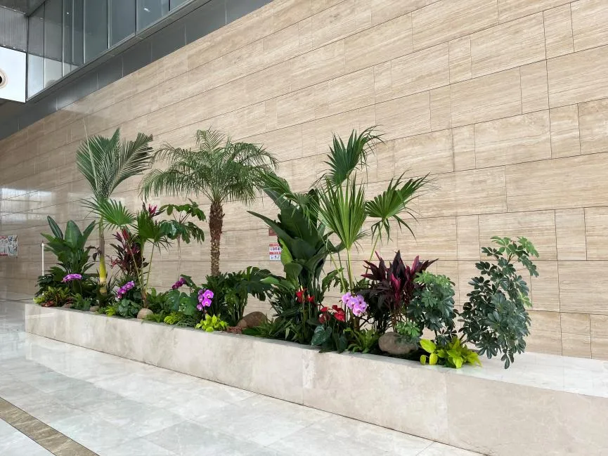 鄞州绿植租赁公司